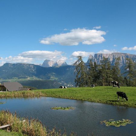 Unterpfaffstall-Hof Collalbo Eksteriør billede