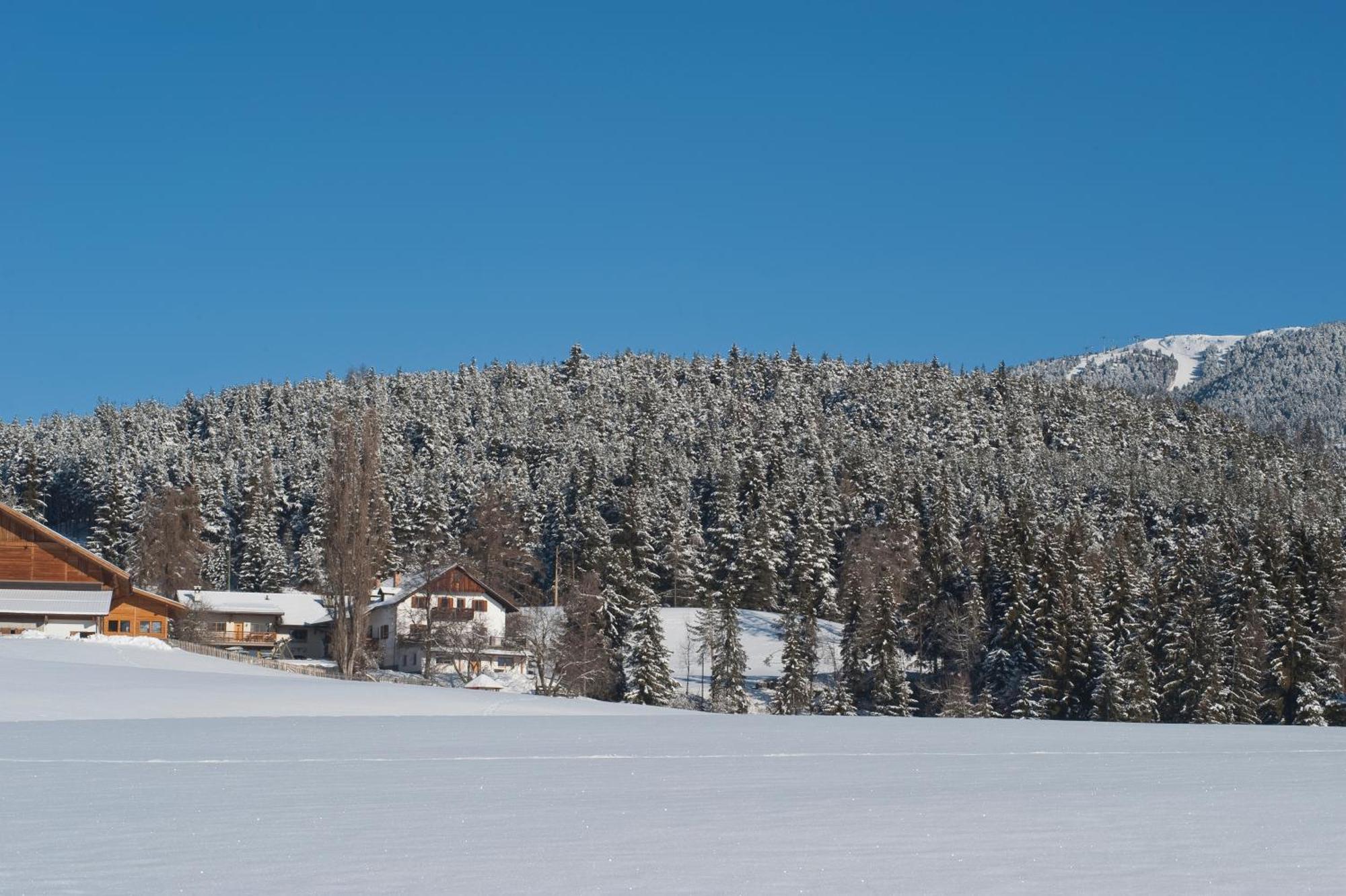 Unterpfaffstall-Hof Collalbo Eksteriør billede