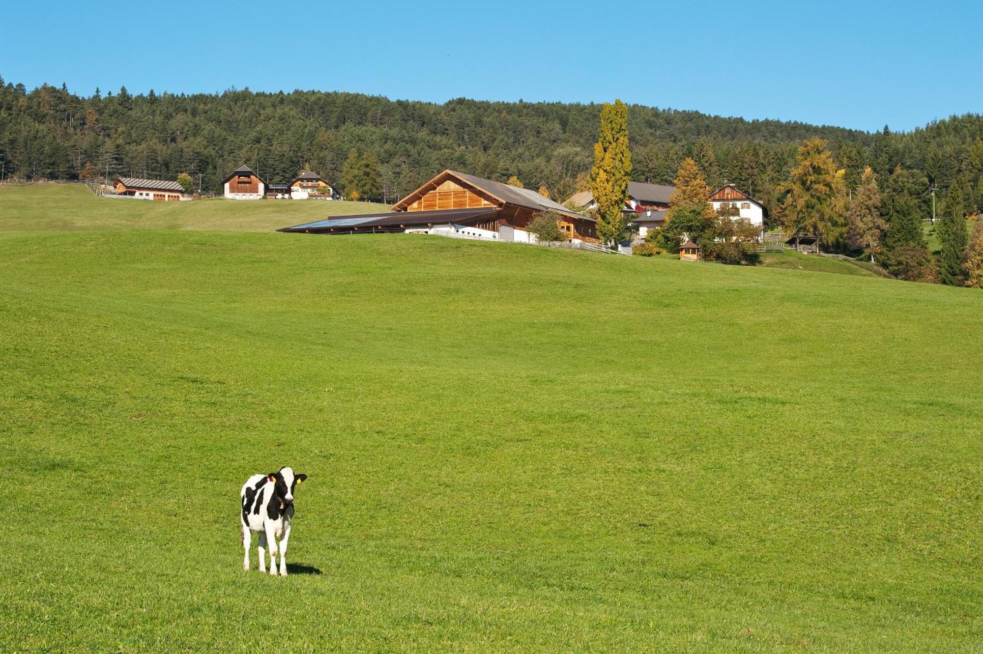 Unterpfaffstall-Hof Collalbo Eksteriør billede